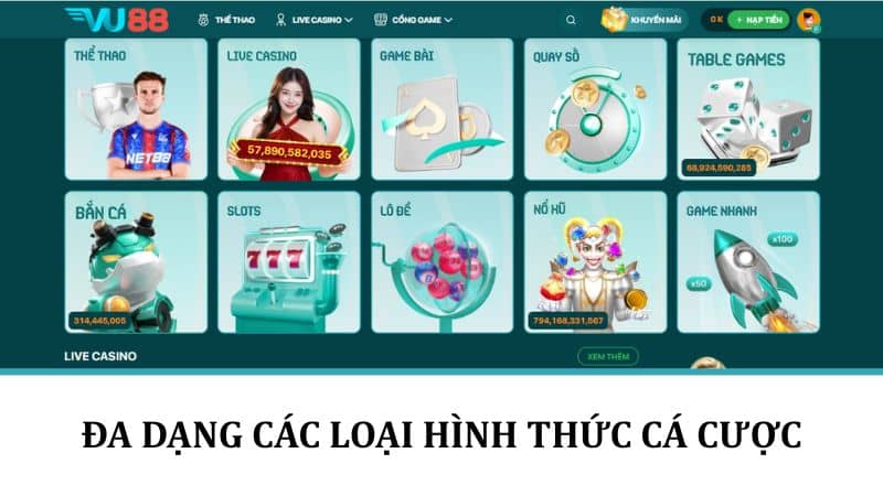 Đá Gà 88 Đa dạng các loại hình thức cá cược