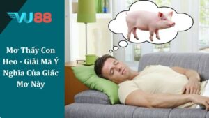 Mơ Thấy Con Heo - Giải Mã Ý Nghĩa Của Giấc Mơ Này Mơ Thấy Con Heo - Giải Mã Ý Nghĩa Của Giấc Mơ Này